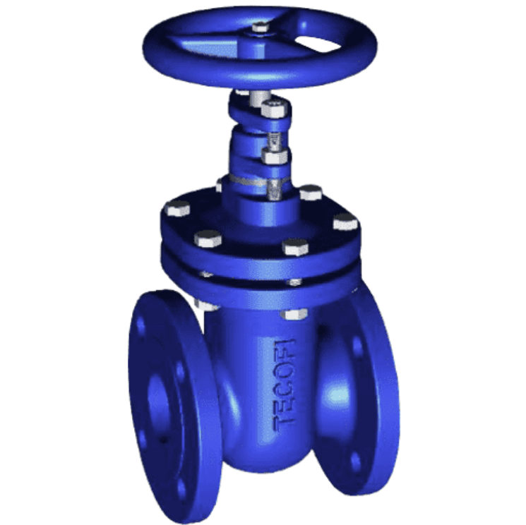 Задвижка чугун V4246 Ду 80 Ру16 Тмакс=150C фл Tecofi V4246-0080